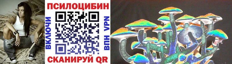 это как зайти  Аткарск  Псилоцибиновые грибы Magic Shrooms 