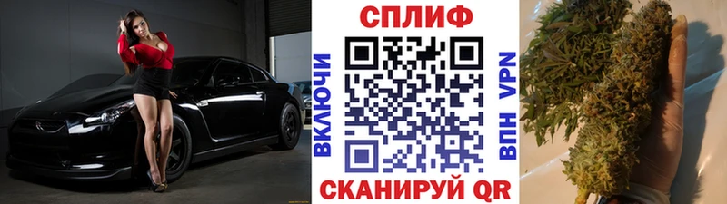 как найти   Аткарск  Бошки марихуана Amnesia 